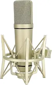 Studio Dynamic Mic for Vocal Recording, Streaming, Voice Over, Voice Isolation Technology, Metal Mic, Works for Audio Interface, Mixer, Metal Wired Cardioid Condenser Microphone