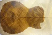 Figure Electric Guitar Top Flame Golden Phoebe Wood Set Luthier Supply