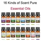 16 Kinds of Scent Pure Essential Oils Diffuser Oils LAVENDER TEA TREE LEMON ROSE