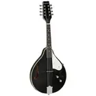 Tanglewood Union Series Black Mandolin with Under Saddle Pickup