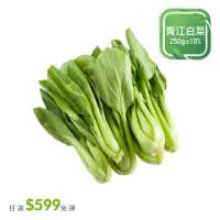 在飛比找momo購物網優惠-【菜霸子】任選-滿599元出貨(青江菜250g 廠商直送)