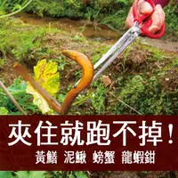 在飛比找momo購物網優惠-【寶盒百貨】52CM 直口 彎頭 鰻魚 螃蟹 龍蝦夾 黃鱔夾