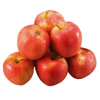 在飛比找家樂福線上購物網優惠-紐西蘭加拉蘋果#120 (每粒約120克）