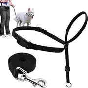 Barkless Dog Head Collar, Adjustable and Padded, No-Pull Training Tool for Dogs on Walks, Includes 1 Dog Leash and Free Training Guide, 3 (M)