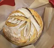 100+ Year Old Sourdough Starter