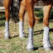 Cashel Fly Boots & Leg Guards - Set of 2
