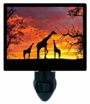 Giraffe Decorative Photo Night Light, Giraffes at Sunset