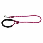 Annabel Trends Sturdy Easy Locking Snap & Stay Secure Dog/Pet Leash Fuschia