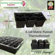 6 Cell Metric Seedling Punnet - Pack of 1920 - Thermoformed NM6 Propagation