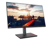 Lenovo ThinkVision P24h-30 23.8-inch QHD Monitor