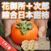 在飛比找momo購物網優惠-【果樹寶石】大雪山綜合甜柿禮盒（1斤/盒）(黃金時間採收 風