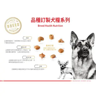 💖效期2025年2月🐶 皇家 CHA / PRC28 吉娃娃成犬 3KG / 3公斤 吉娃娃 狗飼料 犬糧 成犬飼料