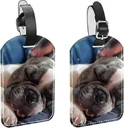[YTYVAGT] Luggage Tags for Suitcases,Travel Tags for Luggage,Bulldog Dog Puppy,2-Pc