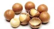 20L - MACADAMIA OIL (AUSTRALIA) - COLD PRESSED (VIRGIN) - 100% PURE CARRIER OIL