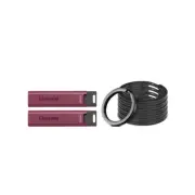 Kingston DataTraveler Max 256GB USB Flash Drive 2 Pack with Keyring Bundle