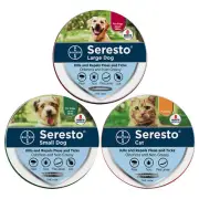 1pc Pet Collar Fl*ea Ti*ck Treatment & Prevention Collar for Small Large Dog Cat