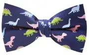 Men's Bow Ties Pre-Tied Adjustable Fun Pattern Bow Ties for Men Blue Pink Green