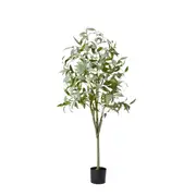 [James Lane] Gum Tree Potted Plant Green - 80cm x 80cm x 160cm