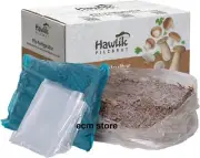 Hawlik Pilzbrut Kit de culture champignons Champignons de Paris Petit (B)