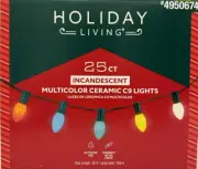 25 Holiday Living Multi-Color Ceramic Style C9 Incandescent Lights - 4950674