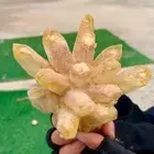 428G New Find Yellow PhantomQuartz Crystal Cluster MineralSpecimen