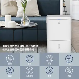 【Electrolux 伊萊克斯】10L 極適家居300清淨除濕機 除濕適用空間13坪(ED1031WC 晨曦白)