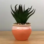 Peach Potted Cactus 6 inch Tall Detailed non prickly Cacti Plant Statue GSC51163