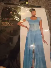 Disney Princess Cinderella Halloween Costume