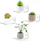 Acrylic Wall Shelves for Storage,Floating Shelf,Acrylic Display Shelves,Ledges f
