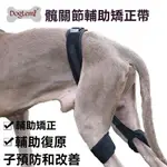 💖愛寵一生 新款 狗狗骨骼矯正帶 寵物輔助帶 寵物輔助背帶 老犬適用 高齡犬 狗狗復健 寵物行走輔助 狗狗支撐帶