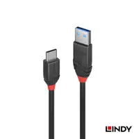 在飛比找蝦皮商城優惠-LINDY 林帝 Black USB 3.2 Gen 2 T