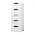 Storage File Cabinet with Wheels with 4 Caster Wheels Shelf 5 Drawers Chest