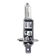 Ignite H1 100W Halogn Globe with P14.5S Base - Pack of 1 - IGL2110BL