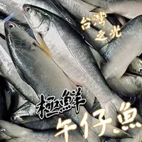 在飛比找鮮拾優惠-【帥哥魚海鮮】【台灣之光】鮮嫩午仔魚 三去真空包裝 台灣午仔