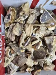 Petrified wood and Opalized/agatized Petrified Wood rough Bulk 4 Oz.