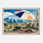 Galrie Mammoth Lakes Hot Dog Art Photography Print, Wood Frame, 70 x 100cm (28 x 40inch)