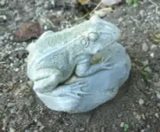 Latex frog mold for plaster and cement statues 2.75"H x 3.5" x 2.5"