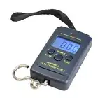40kg/10g Digital Hanging Scales Small Electronic Hook Scale Hand Held for Travel