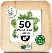 Palm Leaf Plates Bamboo Paper Plate Disposable 8 Inch 50 Bulk Appetizer Square Party Tableware Pack Biodegradable Compostable Wood Plate Better Plastic By KoalaLove