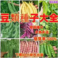 在飛比找蝦皮購物優惠-🌿桃園農種業園🌿【豆類種子】39款豆子種子 蘇菜豆子 爬藤植