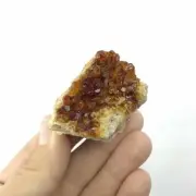 Natural Citrine Crystal Cluster 180859-88g Manifest Abundance and Prosperity