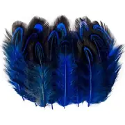 50 Pcs Sapphire Blue Pheasant Feathers 2-3 Inches Plumage for Crafts Clothing