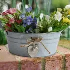 Vintage Iron Flower Bucket Planter Pail Succulent Plants Container French Bucket