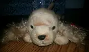 1997 Ty Beanie Babies Spunky Cocker Spaniel Dog RETIRED - FREE SHIPPING