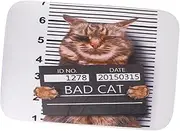 GRIRIW Bathroom Anti-Skid Floor Mat Cat Design Kitchen Door Mat Safe Polyester Material Digital Printing Pad