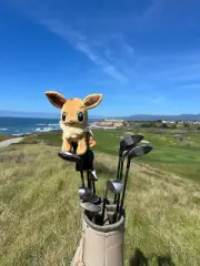 Eevee Pokemon Driver Golf Head Cover