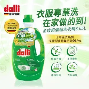 【Dalli德國達麗】全效酵素去漬去垢洗衣精超濃縮任選(3.65L/瓶)