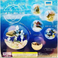在飛比找蝦皮購物優惠-日本沖繩新版 美麗海水族館大顆扭蛋【限定商品、免運】