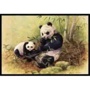 Carolines Treasures BDBA0111JMAT Panda Bears by Daphne Baxter Indoor or Outdo...