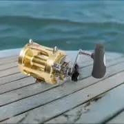 Shimano Tiagra Two Speed Conventional Reel